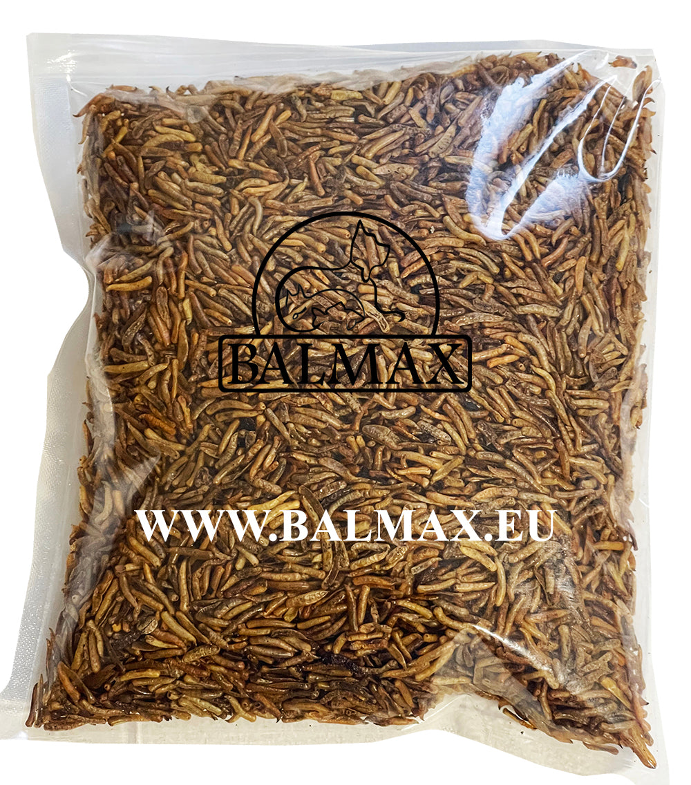 Balmax, Suszone larwy muchy (mucha domowa) / Dried &nbsp;Fly larvae (Housefly) / 100g.