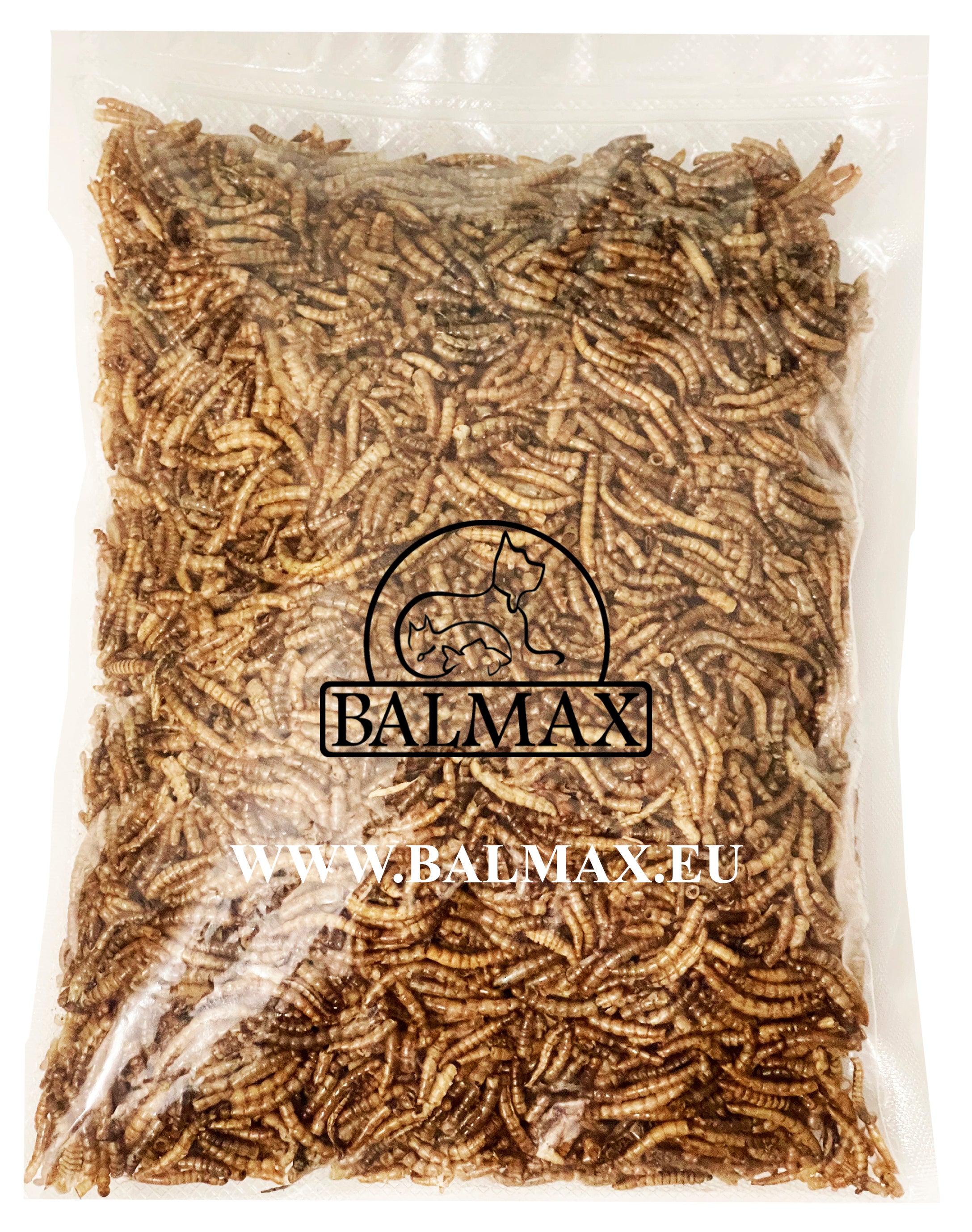Balmax, Suszone larwy mącznika / Mealworm / 100g