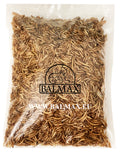 Balmax, Suszone larwy mącznika / Mealworm / 2kg