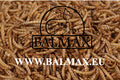Balmax, Suszone larwy mącznika / Mealworm / 5kg